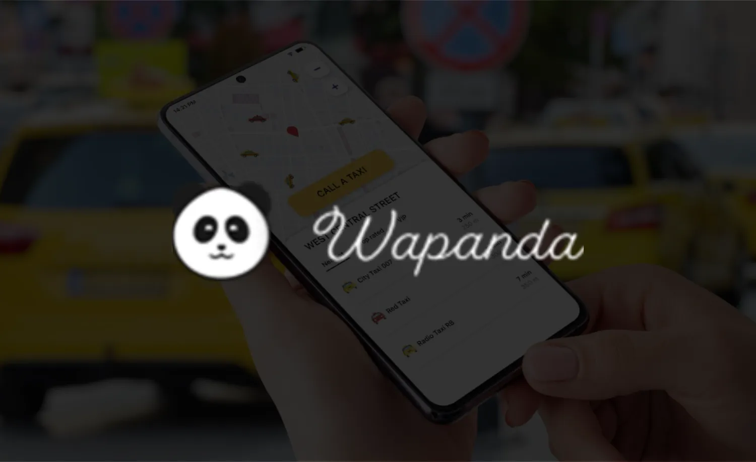 Wapanda case study