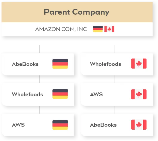 firmographics enrichment